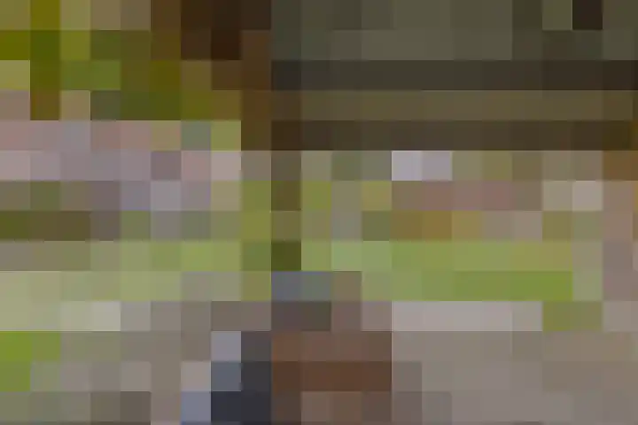 Ruiterstraat 23 Luttelgeest thumbnail 33