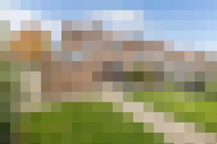 Ruiterstraat 23 Luttelgeest thumbnail 35
