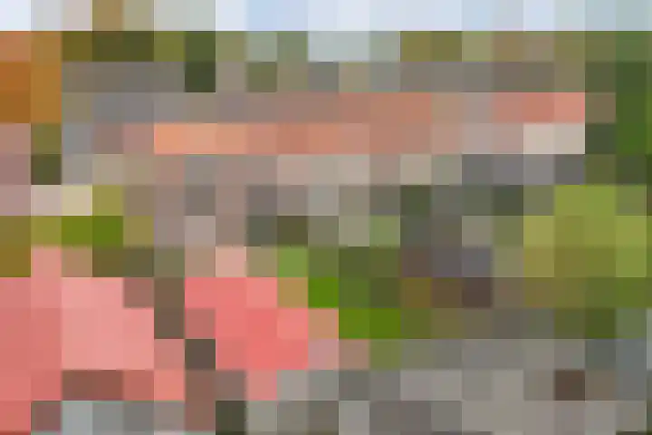 Ruiterstraat 23 Luttelgeest thumbnail 36