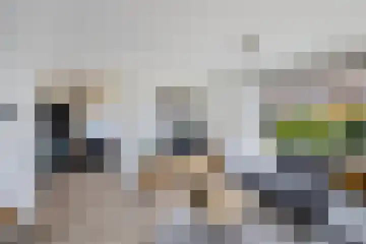 Ruiterstraat 27 Luttelgeest thumbnail 20