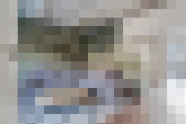 Ruiterstraat 28 Buitenpost thumbnail 10