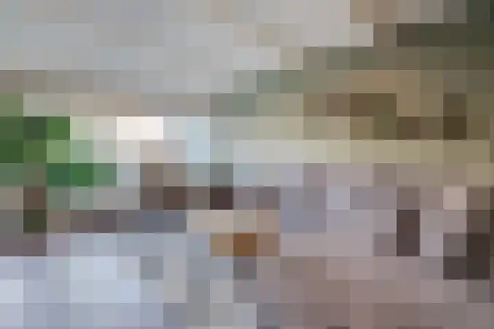 Ruiterstraat 28 Buitenpost thumbnail 11