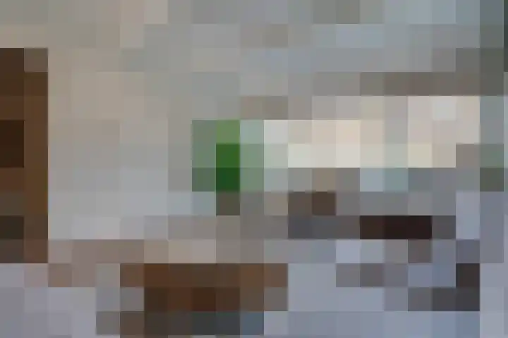 Ruiterstraat 28 Buitenpost thumbnail 12
