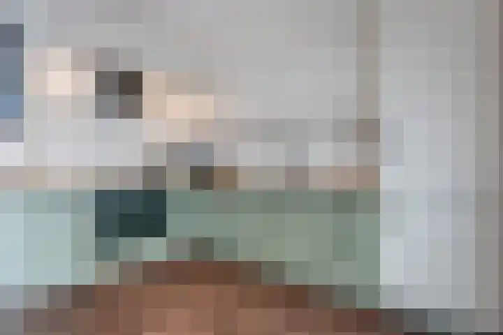 Ruiterstraat 28 Buitenpost thumbnail 16