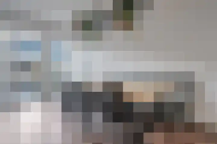 Ruiterstraat 28 Buitenpost thumbnail 17