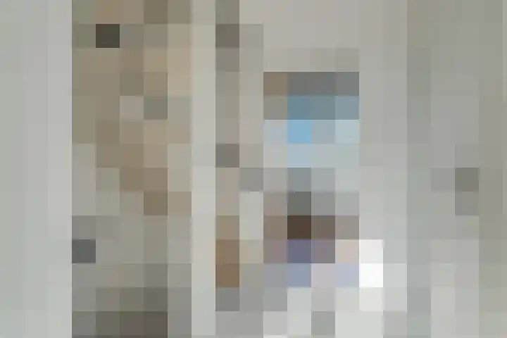 Ruiterstraat 28 Buitenpost thumbnail 20