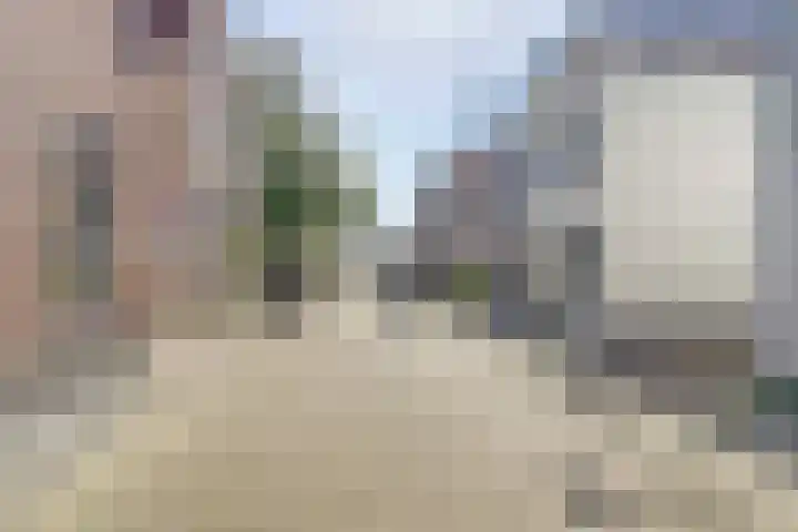 Ruiterstraat 29 Zaltbommel thumbnail 4