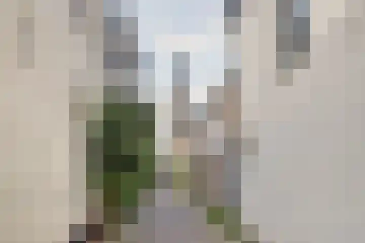 Ruiterstraat 29 Zaltbommel thumbnail 7