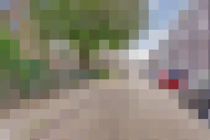 Ruiterstraat 29 Zaltbommel thumbnail 8