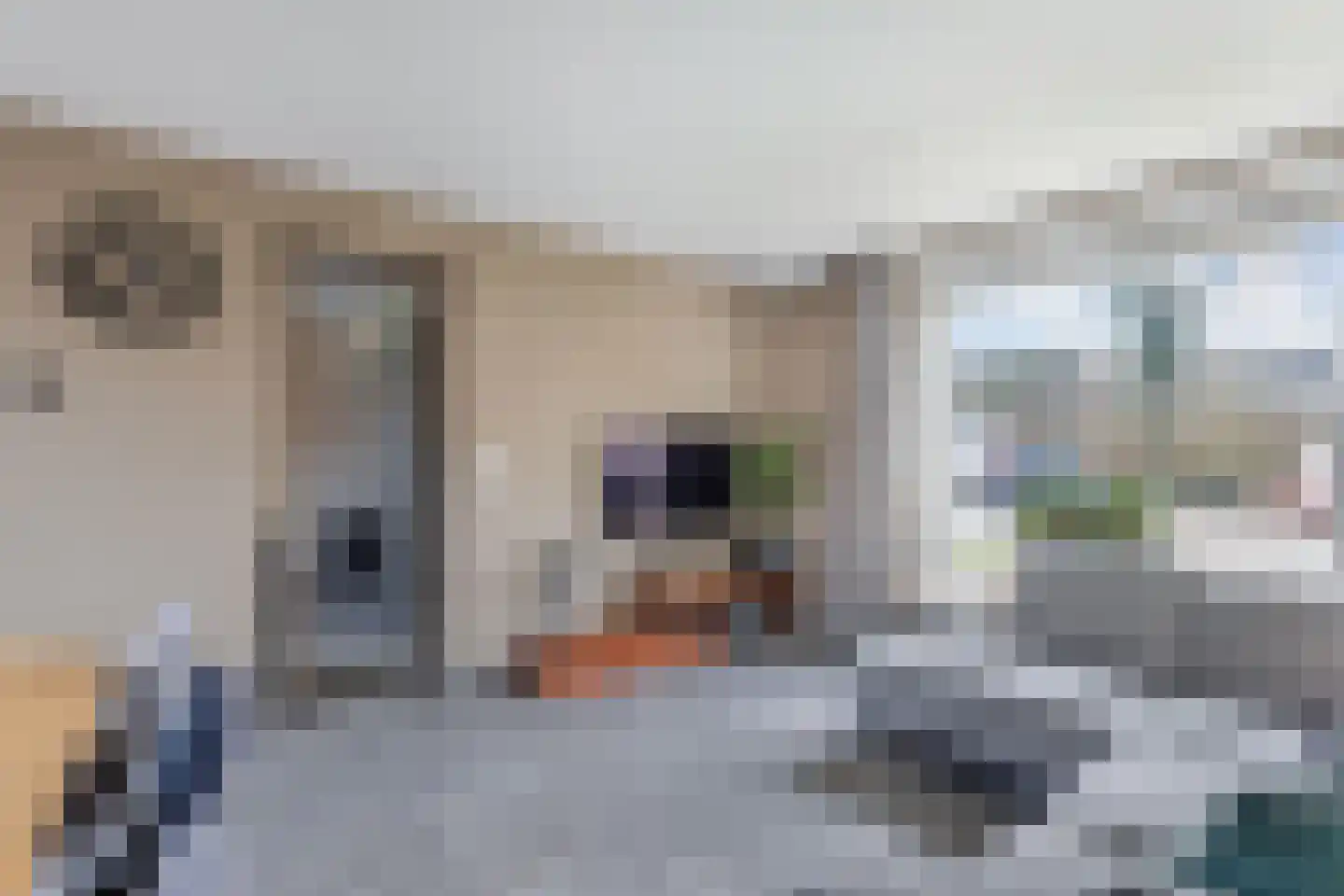Ruiterstraat 3 Luttelgeest thumbnail 11