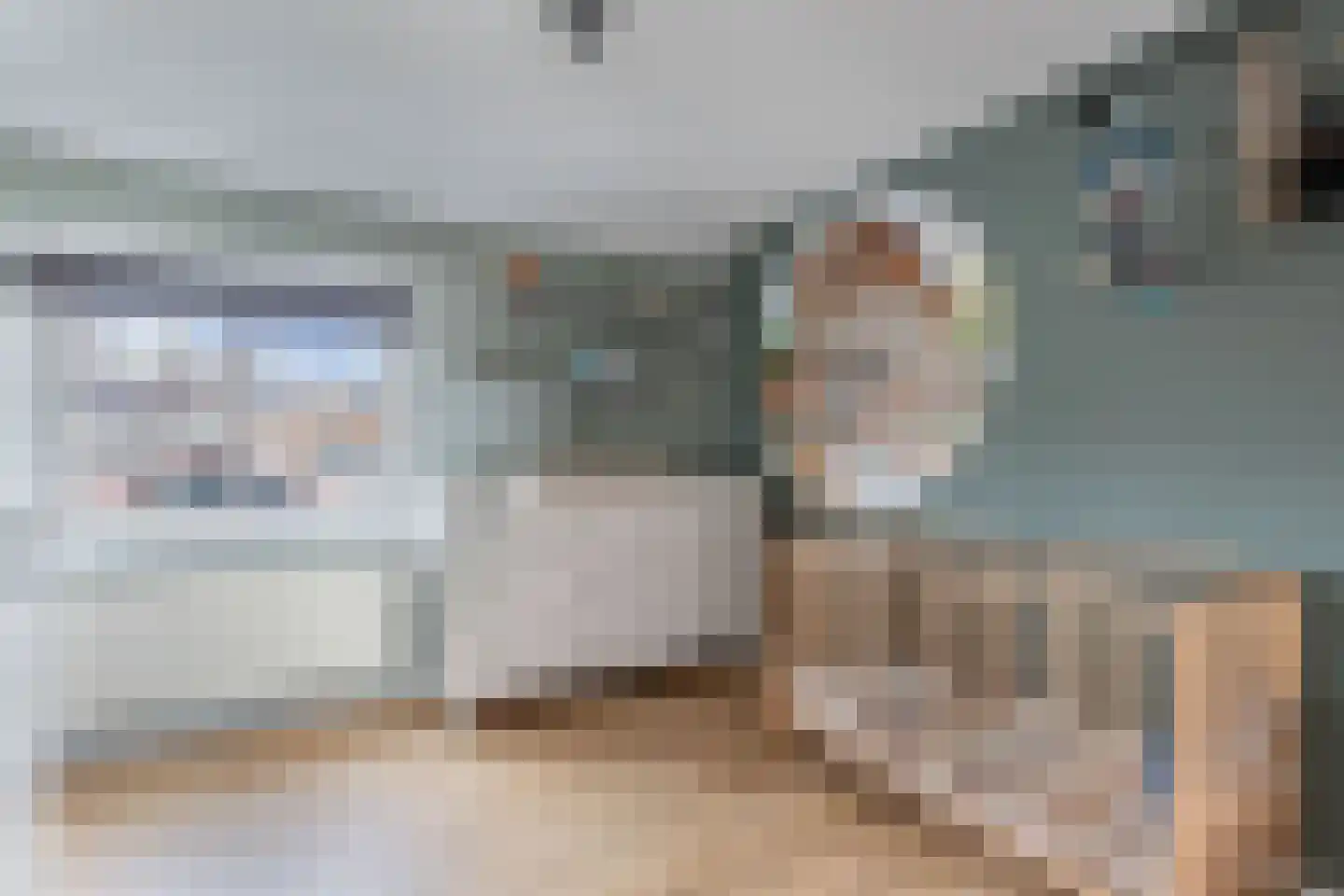 Ruiterstraat 3 Luttelgeest thumbnail 24