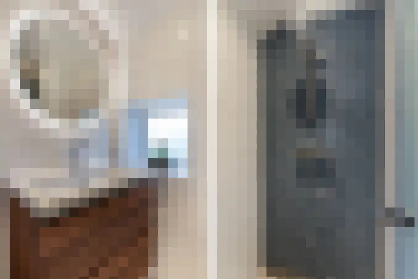 Ruiterstraat 3 Luttelgeest thumbnail 27