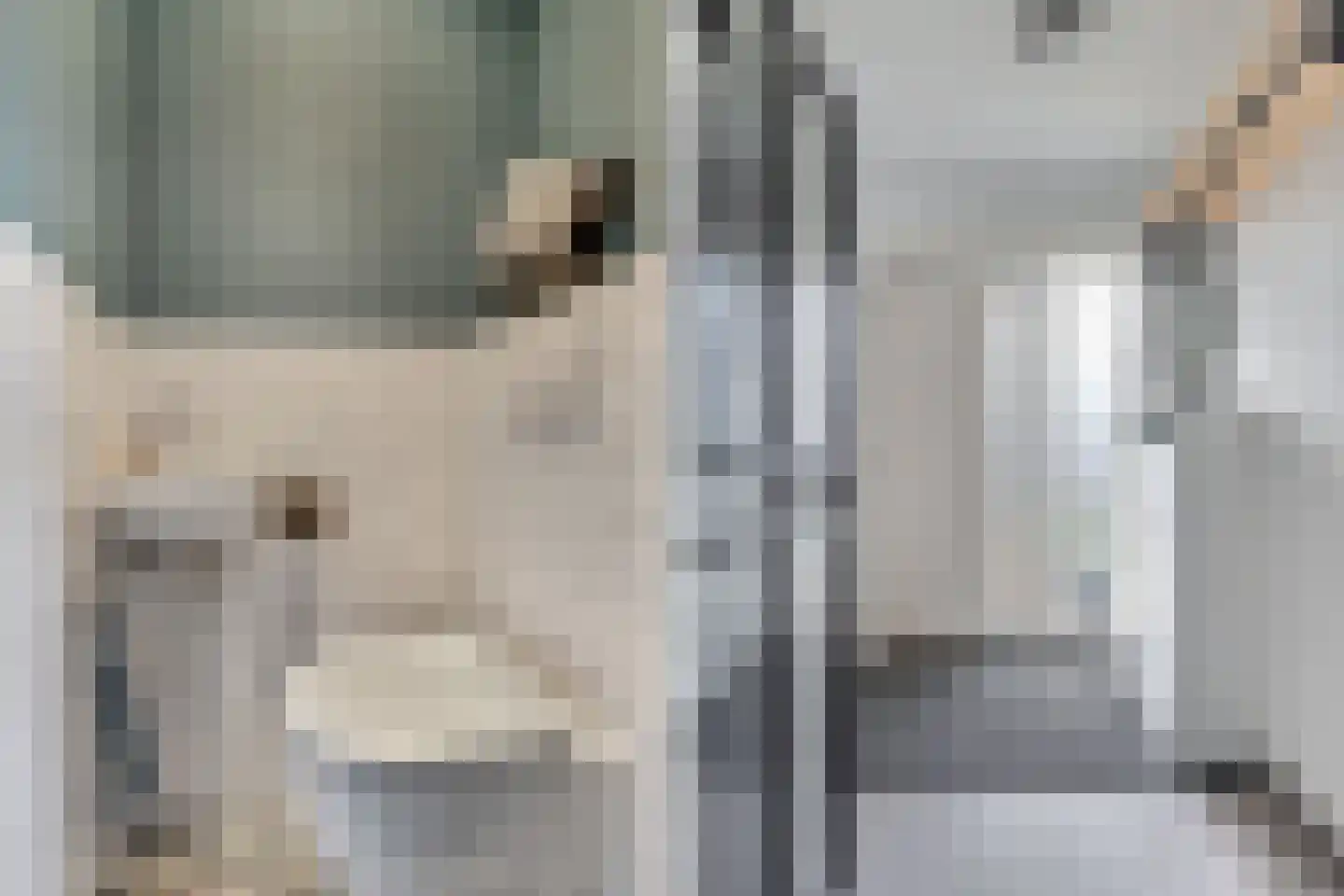Ruiterstraat 3 Luttelgeest thumbnail 9