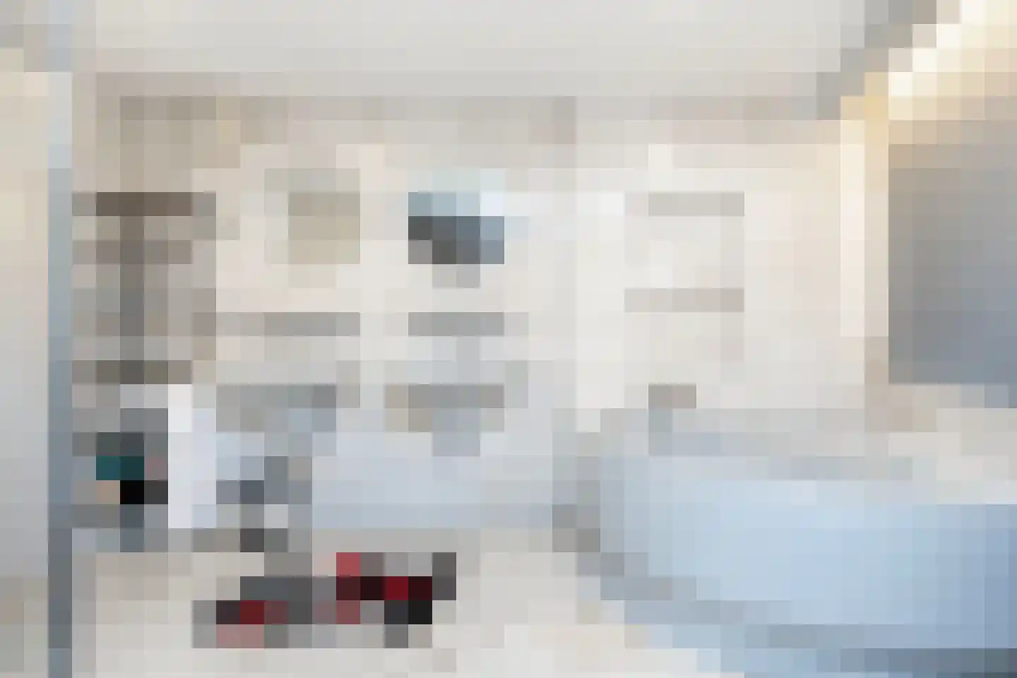 Ruiterstraat 37 Arnhem thumbnail 30