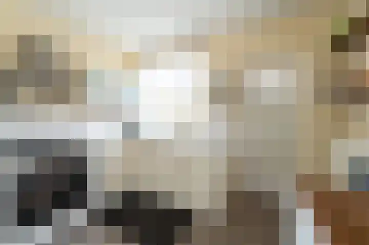 Ruiterstraat 5 Luttelgeest thumbnail 17