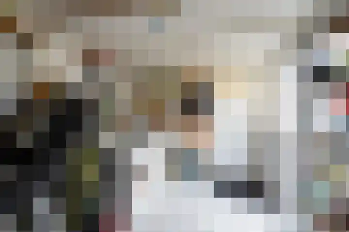 Ruiterstraat 5 Luttelgeest thumbnail 21
