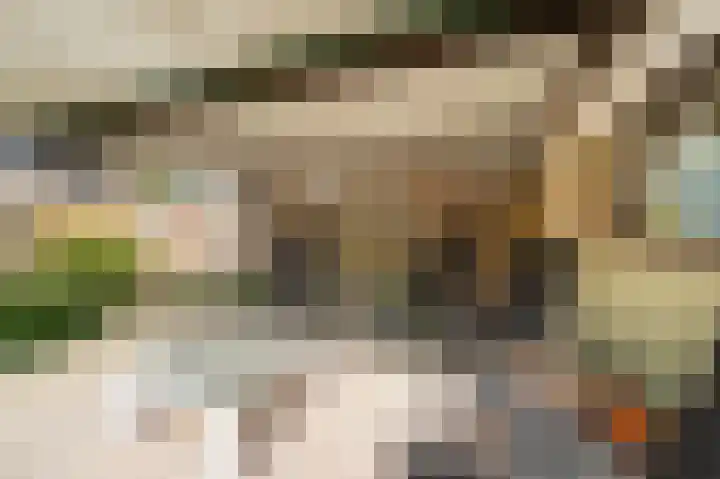 Ruiterstraat 5 Luttelgeest thumbnail 26