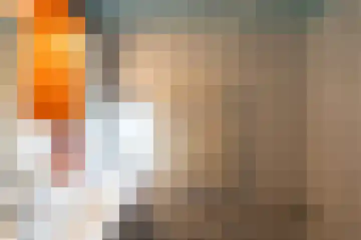 Ruiterstraat 5 Luttelgeest thumbnail 28