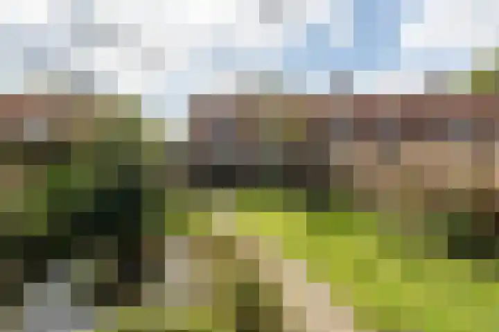 Ruiterstraat 5 Luttelgeest thumbnail 4