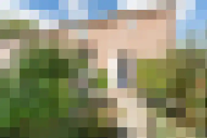 Ruiterstraat 5 Luttelgeest thumbnail 7
