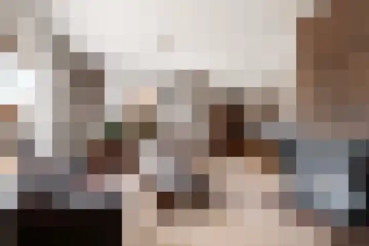 Ruitersveldweg 24 Wezep thumbnail 11