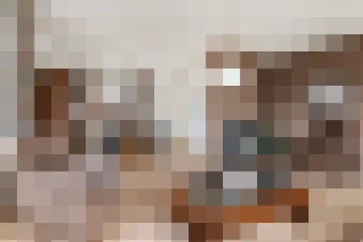 Ruitersveldweg 24 Wezep thumbnail 12