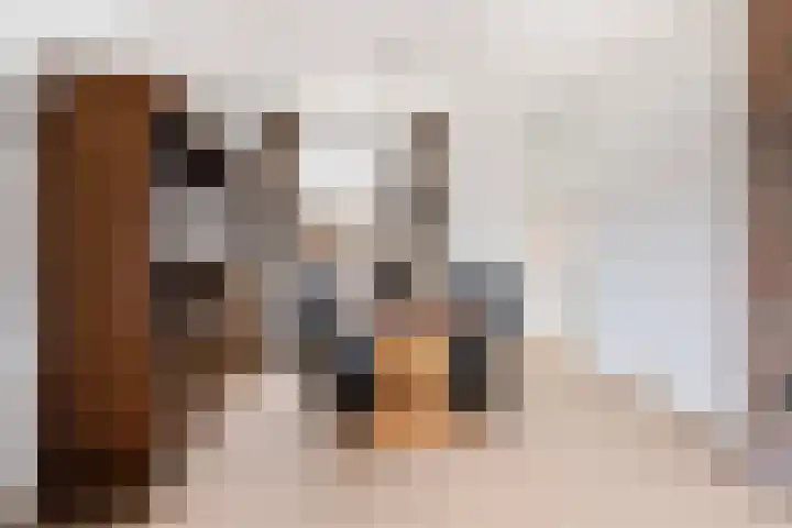 Ruitersveldweg 24 Wezep thumbnail 15