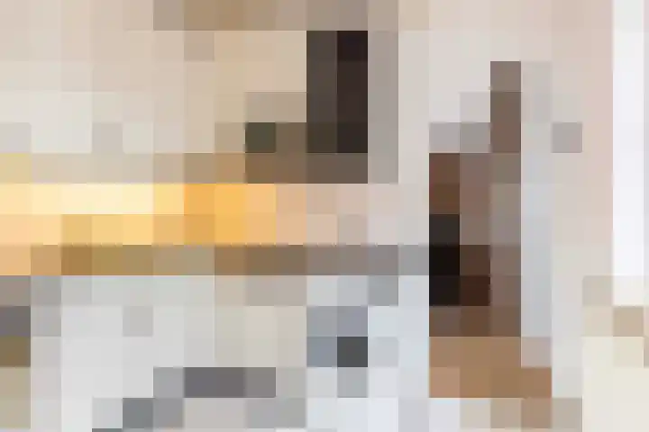 Ruitersveldweg 24 Wezep thumbnail 16