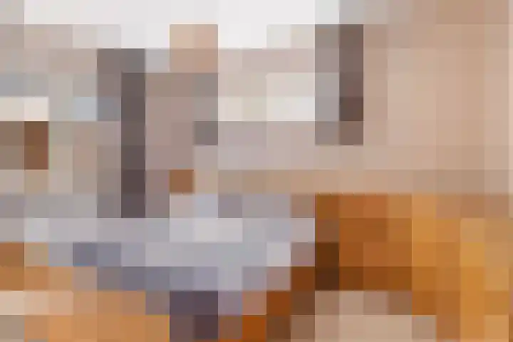 Ruitersveldweg 24 Wezep thumbnail 22