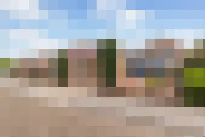 Ruitersveldweg 24 Wezep thumbnail 27