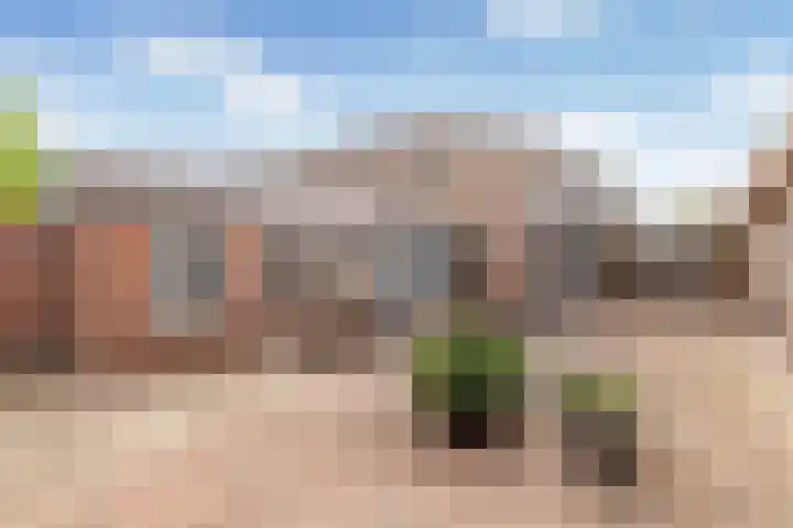Ruitersveldweg 24 Wezep thumbnail 30