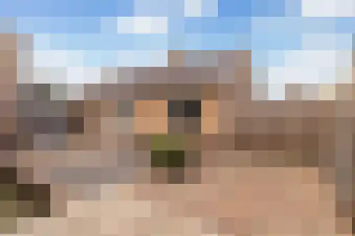 Ruitersveldweg 24 Wezep thumbnail 31
