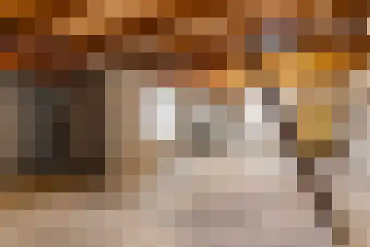 Ruitersveldweg 24 Wezep thumbnail 34