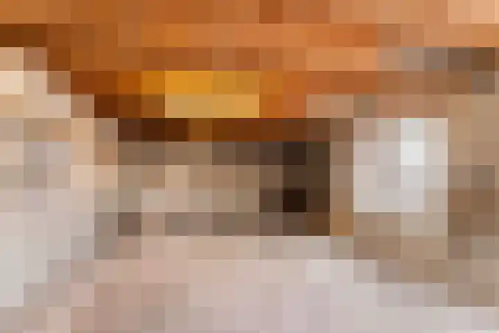 Ruitersveldweg 24 Wezep thumbnail 35