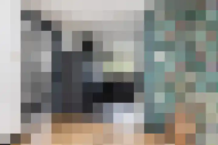 Ruitersveldweg 9 Wezep thumbnail 20