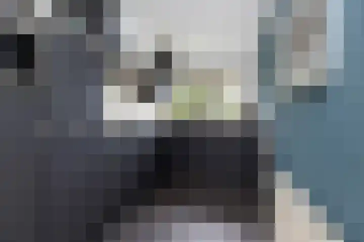 Ruitersveldweg 9 Wezep thumbnail 21