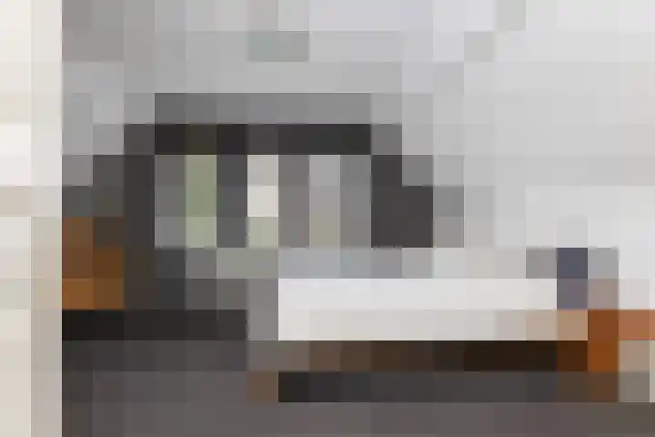 Ruitersveldweg 9 Wezep thumbnail 28