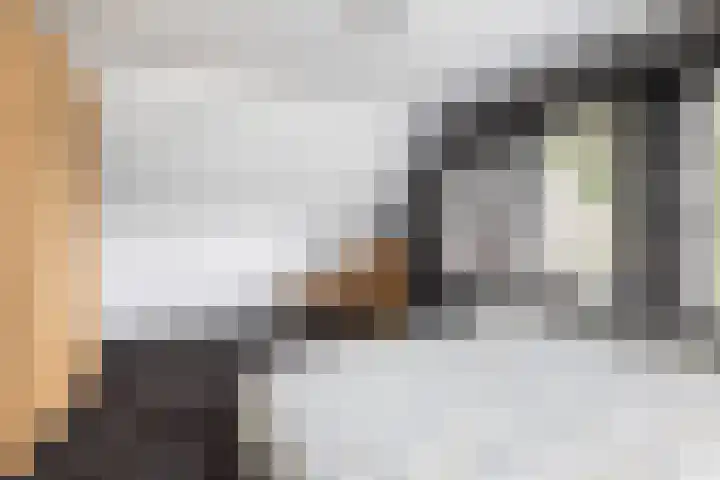 Ruitersveldweg 9 Wezep thumbnail 30