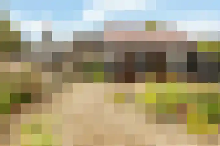 Ruitersveldweg 9 Wezep thumbnail 39