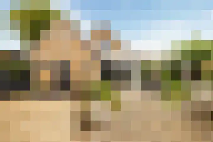 Ruitersveldweg 9 Wezep thumbnail 4