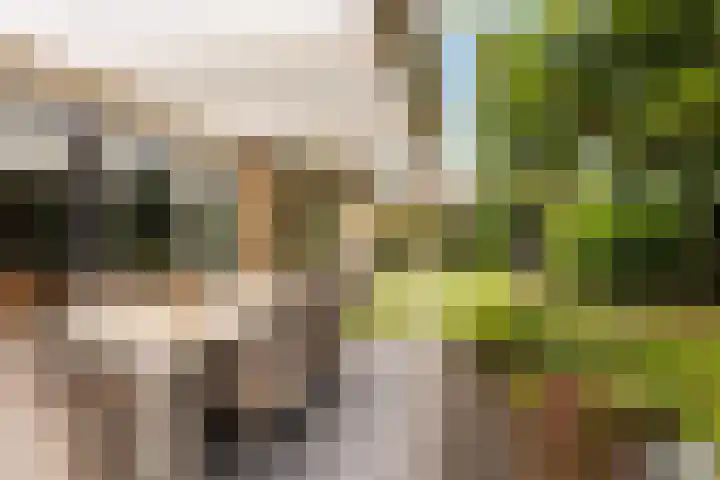 Ruitersveldweg 9 Wezep thumbnail 42