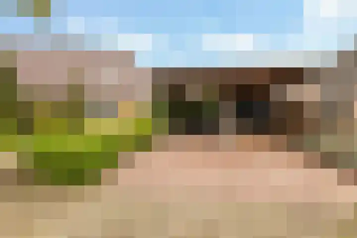 Ruitersveldweg 9 Wezep thumbnail 45