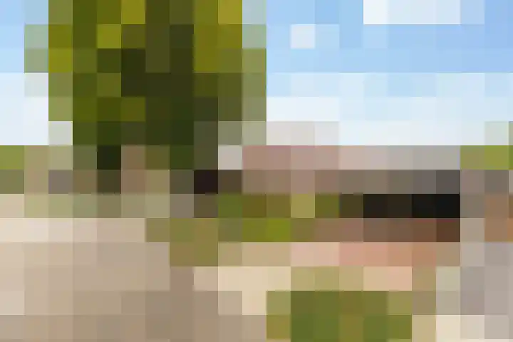 Ruitersveldweg 9 Wezep thumbnail 46