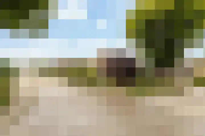 Ruitersveldweg 9 Wezep thumbnail 47