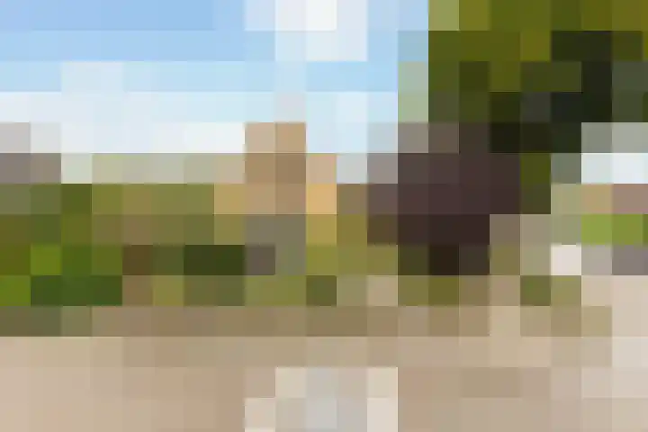 Ruitersveldweg 9 Wezep thumbnail 48