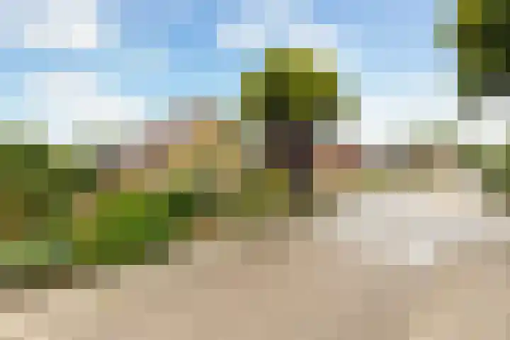 Ruitersveldweg 9 Wezep thumbnail 49