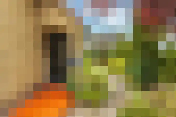 Ruitersveldweg 9 Wezep thumbnail 5