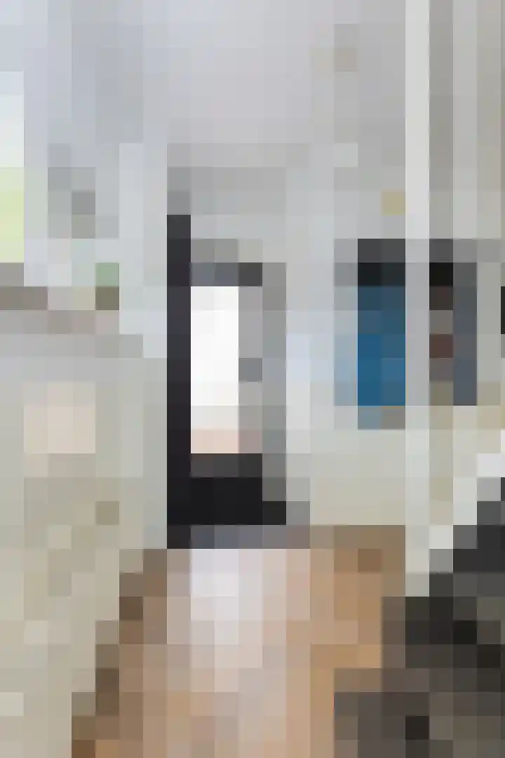Ruitersveldweg 9 Wezep thumbnail 7