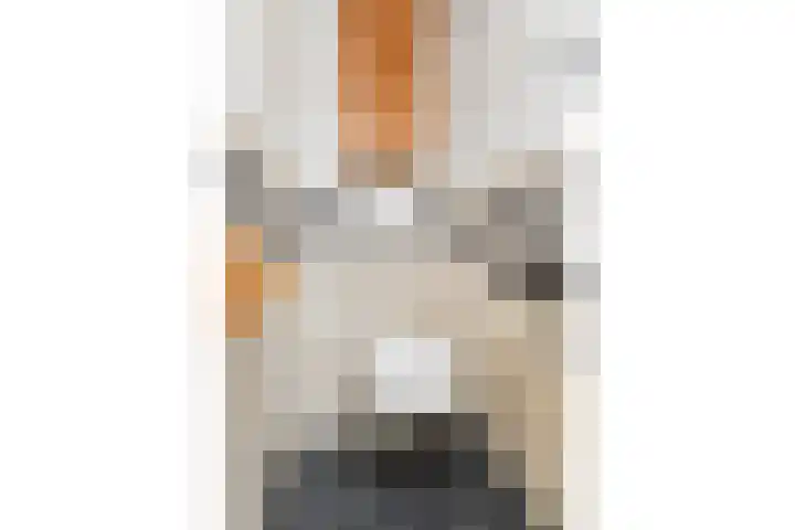 Ruitersveldweg 9 Wezep thumbnail 9