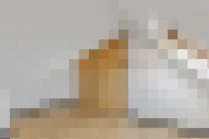 Ruitersweg 11 C 1 Hilversum thumbnail 16